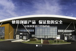 上海建網(wǎng)站公司成功簽約法國代福中國，助力企業(yè)數(shù)字化升級
